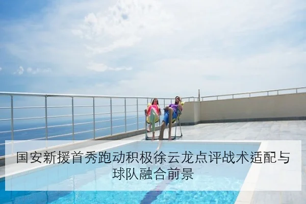 国安新援首秀跑动积极徐云龙点评战术适配与球队融合前景