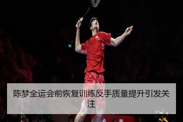 陈梦全运会前恢复训练反手质量提升引发关注